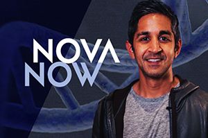 Portrait of Alok Patel and the NOVA NOW logo